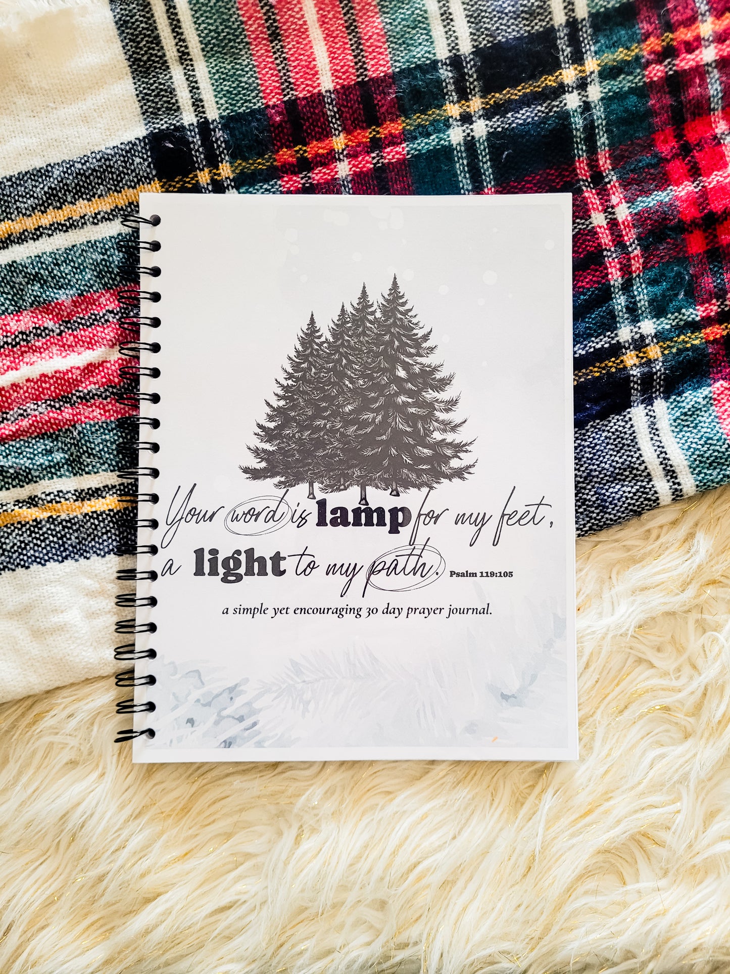 Winter Theme 30 Day Prayer Journal Wholesale