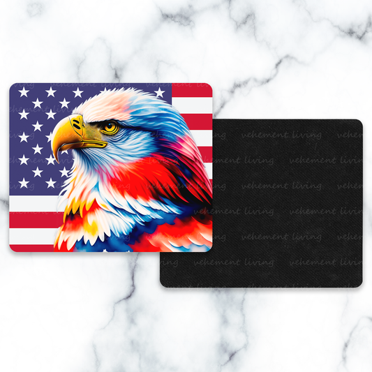 america eagle 2